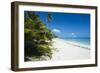 Turquoise waters and white sand beach, Ouvea, Loyalty Islands, New Caledonia, Pacific-Michael Runkel-Framed Photographic Print