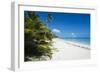 Turquoise waters and white sand beach, Ouvea, Loyalty Islands, New Caledonia, Pacific-Michael Runkel-Framed Photographic Print