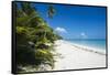 Turquoise waters and white sand beach, Ouvea, Loyalty Islands, New Caledonia, Pacific-Michael Runkel-Framed Stretched Canvas