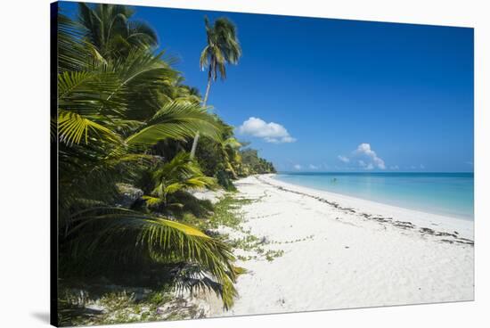 Turquoise waters and white sand beach, Ouvea, Loyalty Islands, New Caledonia, Pacific-Michael Runkel-Stretched Canvas