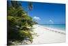 Turquoise waters and white sand beach, Ouvea, Loyalty Islands, New Caledonia, Pacific-Michael Runkel-Stretched Canvas