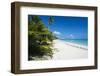 Turquoise waters and white sand beach, Ouvea, Loyalty Islands, New Caledonia, Pacific-Michael Runkel-Framed Photographic Print