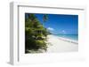 Turquoise waters and white sand beach, Ouvea, Loyalty Islands, New Caledonia, Pacific-Michael Runkel-Framed Photographic Print