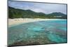 Turquoise waters on Furuzamami Beach, Zamami Island, Kerama Islands, Okinawa, Japan, Asia-Michael Runkel-Mounted Photographic Print