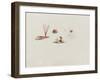 Turris Neglecta: Hydrozoan-Philip Henry Gosse-Framed Giclee Print