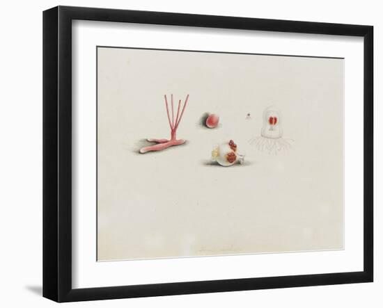 Turris Neglecta: Hydrozoan-Philip Henry Gosse-Framed Giclee Print
