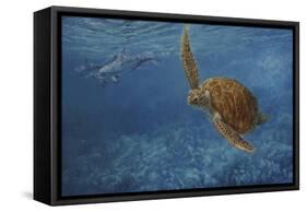 Turtle 1-Michael Jackson-Framed Stretched Canvas