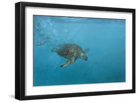 Turtle 2-Michael Jackson-Framed Giclee Print