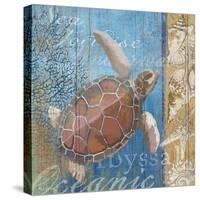 Turtle and Sea-null-Stretched Canvas