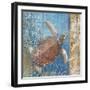 Turtle and Sea-null-Framed Giclee Print