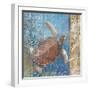 Turtle and Sea-null-Framed Giclee Print