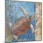 Turtle and Sea-null-Mounted Giclee Print