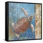 Turtle and Sea-null-Framed Stretched Canvas