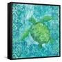 Turtle Batik Sq-Paul Brent-Framed Stretched Canvas