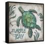 Turtle Bay-Todd Williams-Framed Stretched Canvas
