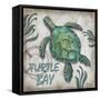 Turtle Bay-Todd Williams-Framed Stretched Canvas