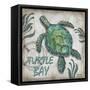 Turtle Bay-Todd Williams-Framed Stretched Canvas