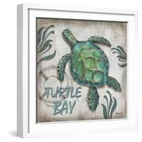 Turtle Bay-Todd Williams-Framed Art Print