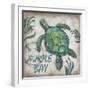 Turtle Bay-Todd Williams-Framed Art Print