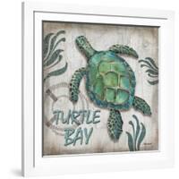 Turtle Bay-Todd Williams-Framed Art Print