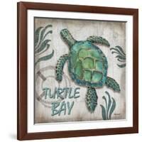 Turtle Bay-Todd Williams-Framed Art Print