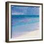 Turtle Beach, 2000-Charlotte Johnstone-Framed Giclee Print