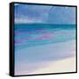 Turtle Beach, 2000-Charlotte Johnstone-Framed Stretched Canvas