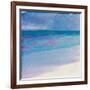 Turtle Beach, 2000-Charlotte Johnstone-Framed Giclee Print