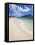 Turtle Beach on the Southeast Peninsula, St. Kitts, Leeward Islands, West Indies, Caribbean-Gavin Hellier-Framed Stretched Canvas