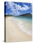 Turtle Beach on the Southeast Peninsula, St. Kitts, Leeward Islands, West Indies, Caribbean-Gavin Hellier-Stretched Canvas