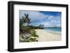 Turtle Beach, St. David's Island, Bermuda, North America-Michael Runkel-Framed Photographic Print