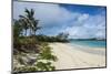 Turtle Beach, St. David's Island, Bermuda, North America-Michael Runkel-Mounted Photographic Print