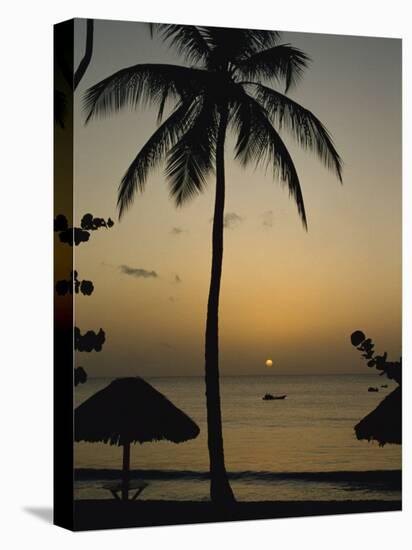 Turtle Beach, Tobago, West Indies, Caribbean, Central America-Harding Robert-Stretched Canvas