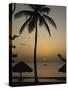 Turtle Beach, Tobago, West Indies, Caribbean, Central America-Harding Robert-Stretched Canvas