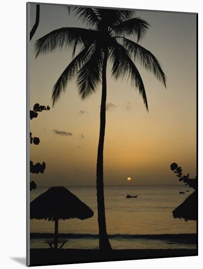 Turtle Beach, Tobago, West Indies, Caribbean, Central America-Harding Robert-Mounted Photographic Print