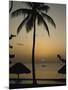 Turtle Beach, Tobago, West Indies, Caribbean, Central America-Harding Robert-Mounted Photographic Print