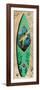 Turtle Board-Scott Westmoreland-Framed Art Print