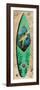 Turtle Board-Scott Westmoreland-Framed Premium Giclee Print