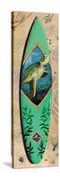 Turtle Board-Scott Westmoreland-Stretched Canvas