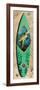 Turtle Board-Scott Westmoreland-Framed Art Print