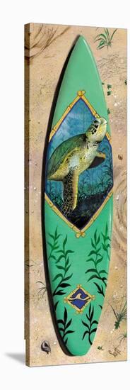 Turtle Board-Scott Westmoreland-Stretched Canvas