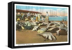 Turtle Catch, Key West, Florida-null-Framed Stretched Canvas