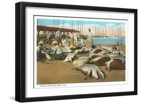 Turtle Catch, Key West, Florida-null-Framed Art Print