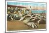 Turtle Catch, Key West, Florida-null-Mounted Art Print