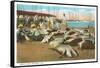 Turtle Catch, Key West, Florida-null-Framed Stretched Canvas