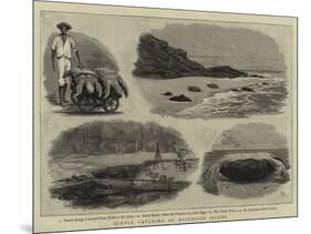 Turtle Catching at Ascension Island-null-Mounted Giclee Print