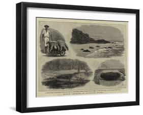 Turtle Catching at Ascension Island-null-Framed Giclee Print