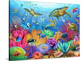 Turtle Coral Reef-Adrian Chesterman-Stretched Canvas