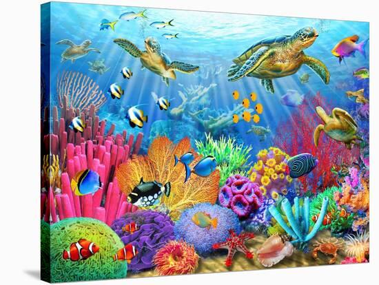 Turtle Coral Reef-Adrian Chesterman-Stretched Canvas