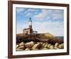 Turtle Cove Hill-Daniel Pollera-Framed Art Print